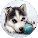 King Husky (Angie) profile picture